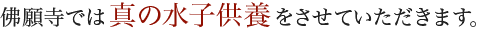 佛願寺では真の水子供養をさせていただきます。